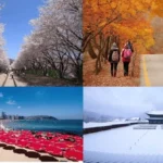 Korea Weather: A Seasonal Guide for Foreigners