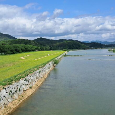 Aegibong Peace Park Gimpo DMZ viewpoint river view