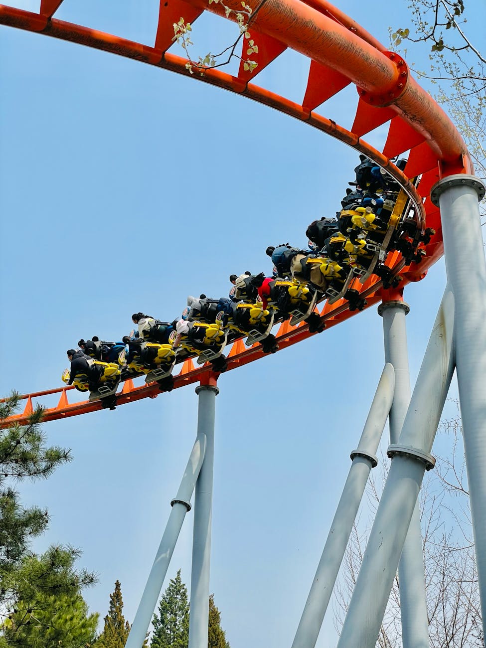 Everland Yongin one day guide roller coaster T-Express attraction