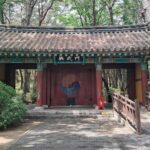 Gyeongju cherry blossom Bomun Park lakeside trail