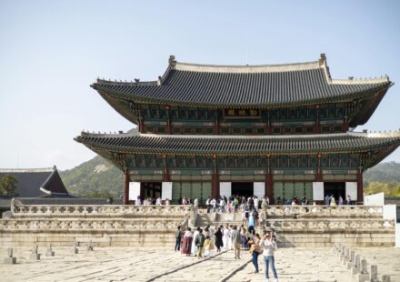 Hanbok palace photo travel — Suwon Hwaseong fortress wall walking guide hero image
