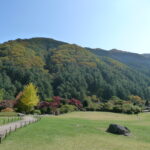 Garden of Morning Calm spring scenery — Gapyeong Korea botanical garden