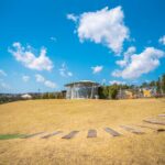 Nami Island cherry blossom and autumn foliage seasonal guide