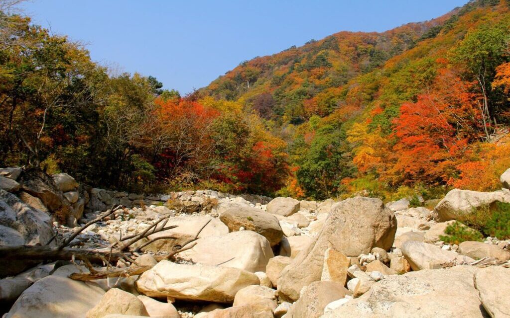 Autumn foliage travel Korea Seoraksan ridge at peak color