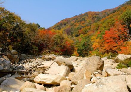 Autumn foliage travel Korea Seoraksan ridge at peak color
