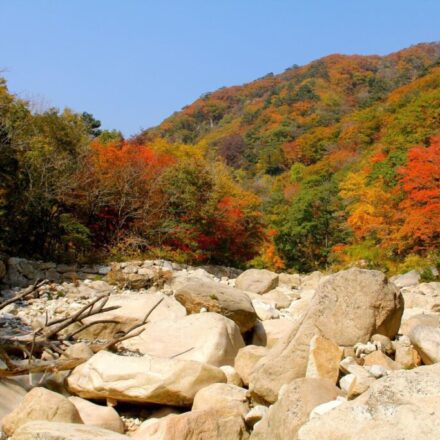 Autumn foliage travel Korea Seoraksan ridge at peak color