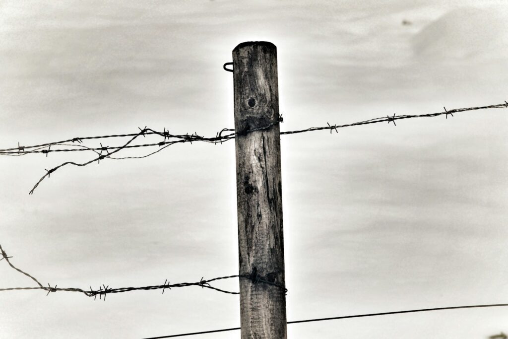 DMZ tour Paju — border fence at the demarcation line