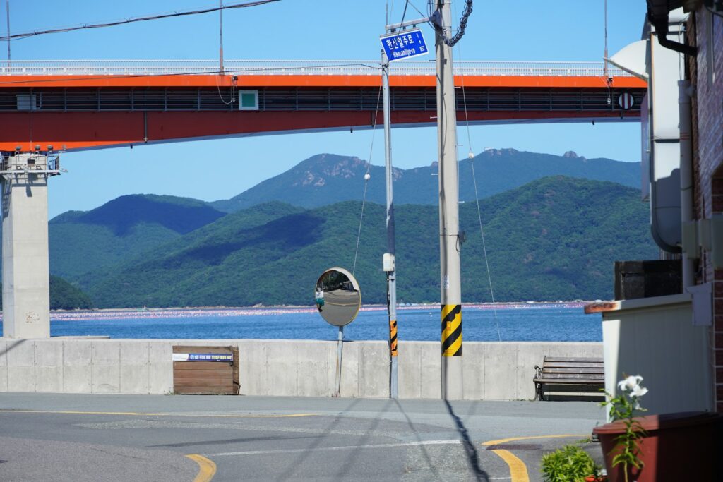 East coast road trip — Gangneung Anmok beach