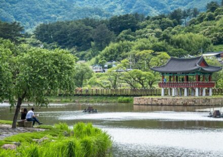 Gyeonggi valley day trip near Seoul — summer forest landscape