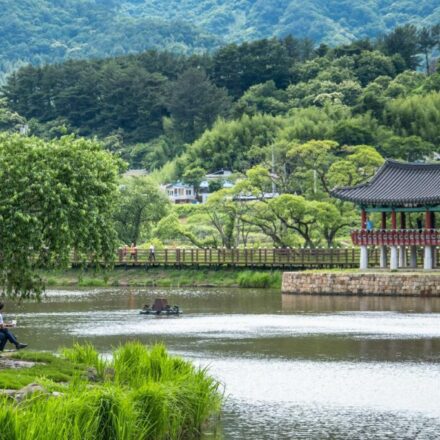 Gyeonggi valley day trip near Seoul — summer forest landscape