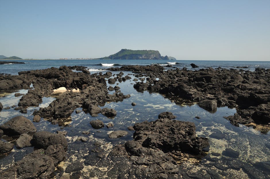 Jeju travel course guide — 4-season itineraries and top spots