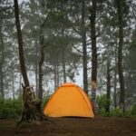 Summer camping glamping Korea — forest tent campsite