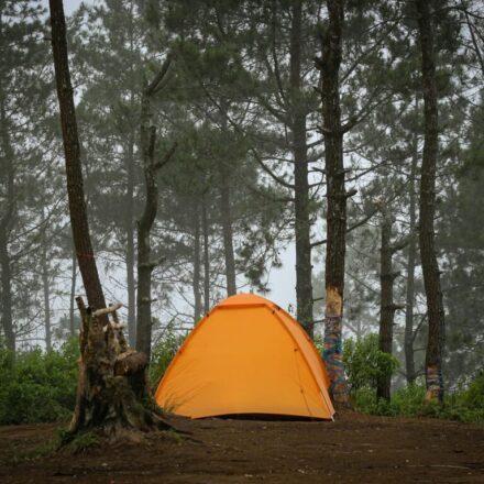 Summer camping glamping Korea — forest tent campsite