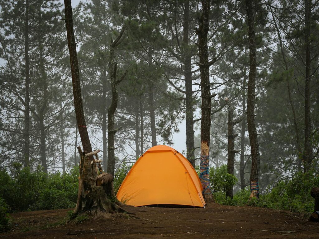 Summer Camping Glamping Guide: Korea Valley, Beach & Glamping Spots Compared