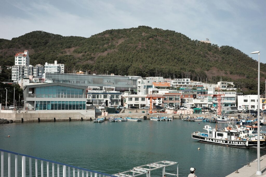 Yeosu seafood food route — Yeosu coastal harbor