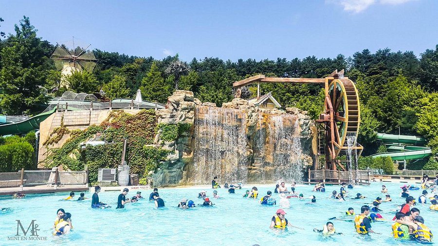 Summer Water Park Guide: Korea’s Best 5 Compared with Budget Tips featured image