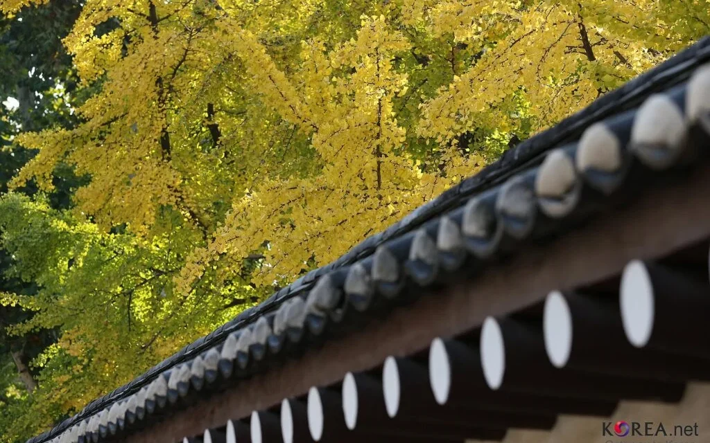 Seoul autumn foliage spots — vivid fall colors at a Seoul landmark