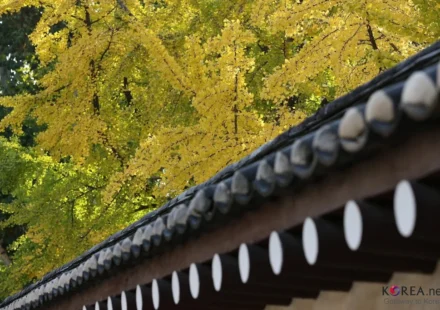 Seoul autumn foliage spots — vivid fall colors at a Seoul landmark