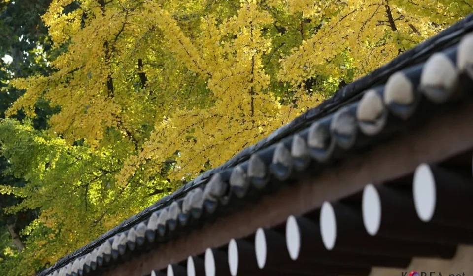 Seoul autumn foliage spots — vivid fall colors at a Seoul landmark