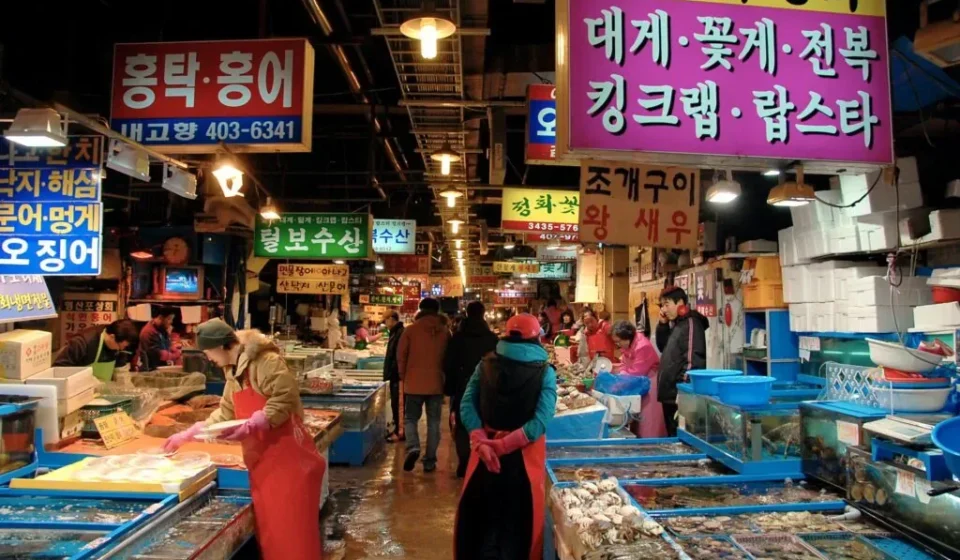 Pohang Jukdo Fish Market featured image