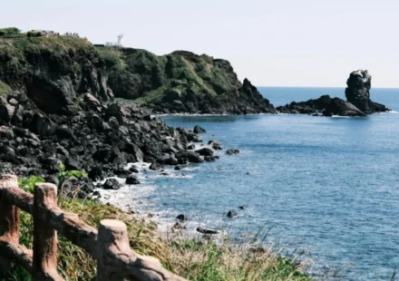 Coastal featured image