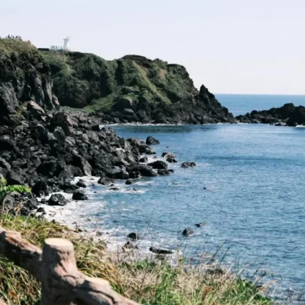 Coastal featured image