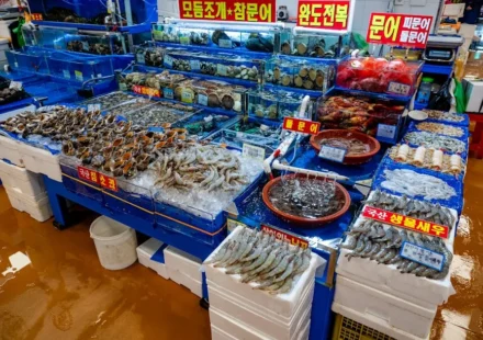 Gunsan featured image