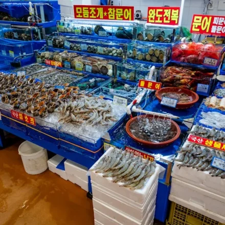 Gunsan featured image