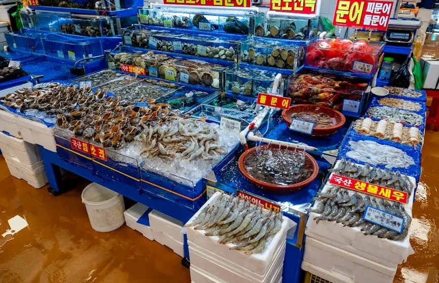 Gunsan featured image
