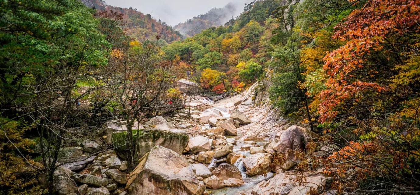 Korea autumn foliage destinations — red maple covering mountains and forests
