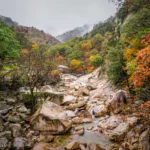 Korea autumn foliage destinations — red maple covering mountains and forests