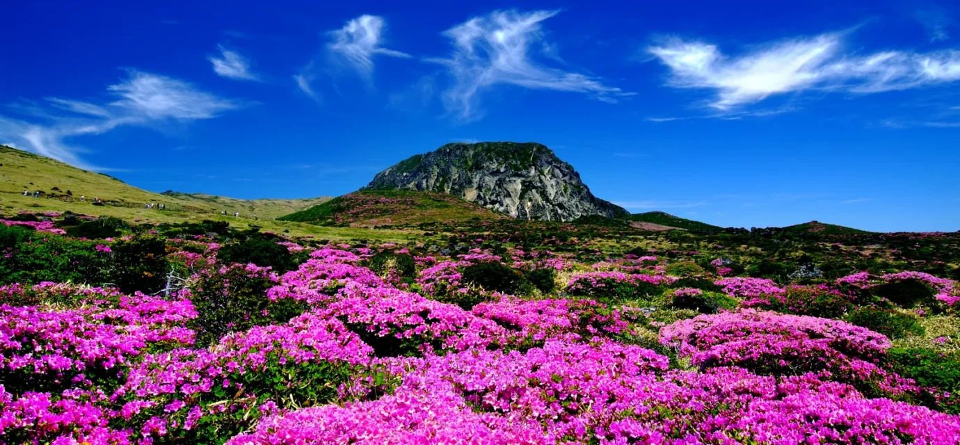 Hallasan Summit Baekrokdam Hike — Jeju Korea volcanic peak and ridgeline