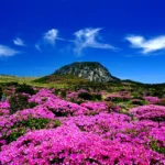 Hallasan Summit Baekrokdam Hike — Jeju Korea volcanic peak and ridgeline