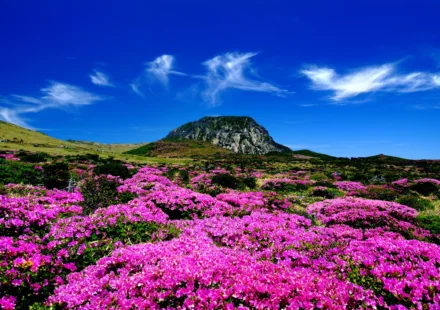 Hallasan Summit Baekrokdam Hike — Jeju Korea volcanic peak and ridgeline