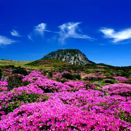 Hallasan Summit Baekrokdam Hike — Jeju Korea volcanic peak and ridgeline