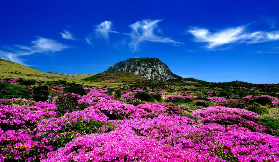 Hallasan Summit Baekrokdam Hike — Jeju Korea volcanic peak and ridgeline