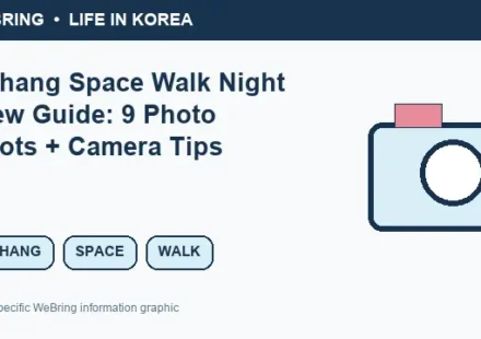 Illustrated WeBring guide: Pohang Space Walk Night View Guide: 9 Photo Spots + Camera Tips