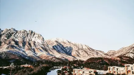 WeBring visual for Korea Winter Snow Travel: The Complete Guide to Daegwallyeong, Deogyusan and Odaesan