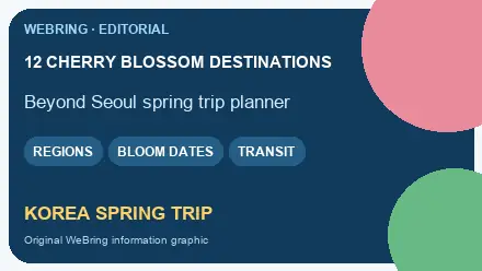WeBring visual for 12 Unmissable Korea Cherry Blossom Outside Seoul Destinations for Your Perfect Spring Trip